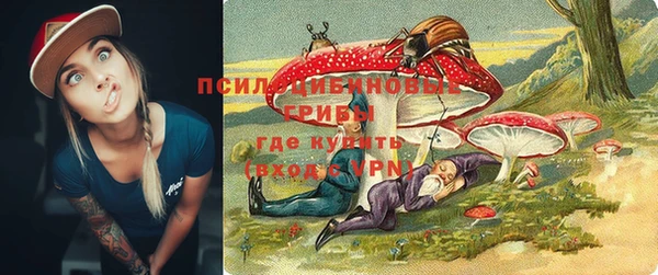 меф Алексин