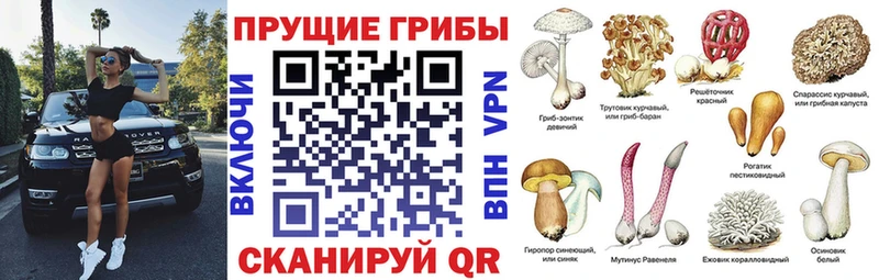 Псилоцибиновые грибы MAGIC MUSHROOMS  Новая Ладога 